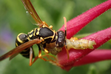 PC261969a.jpg